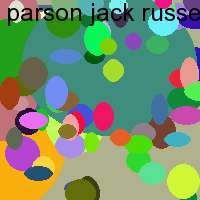 parson jack russel 79585